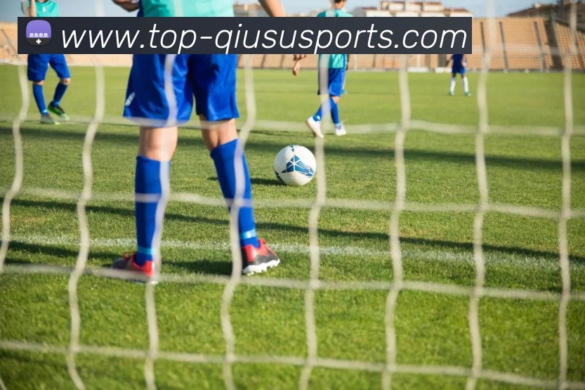 球赛投注平台生态图